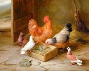 unknow artist Poultry 093 Spain oil painting artist